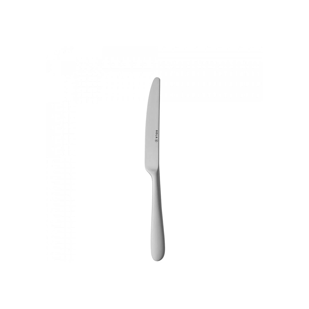 Sola Nordica Set Of 12 Satin Dessert Knives