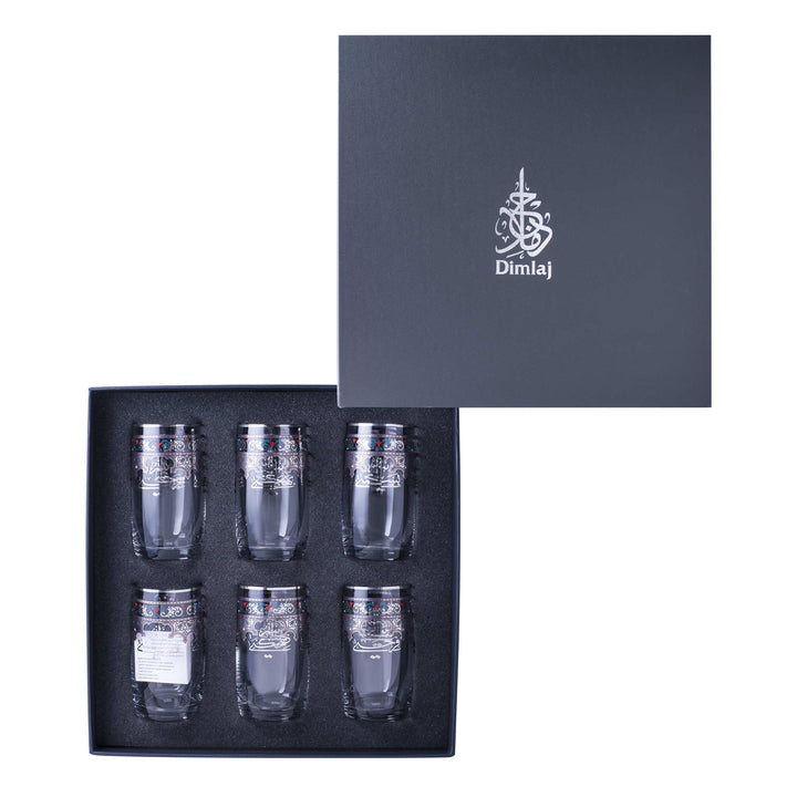 Dimlaj Suroor Set of 6 Pcs Tumblers (Platinum)