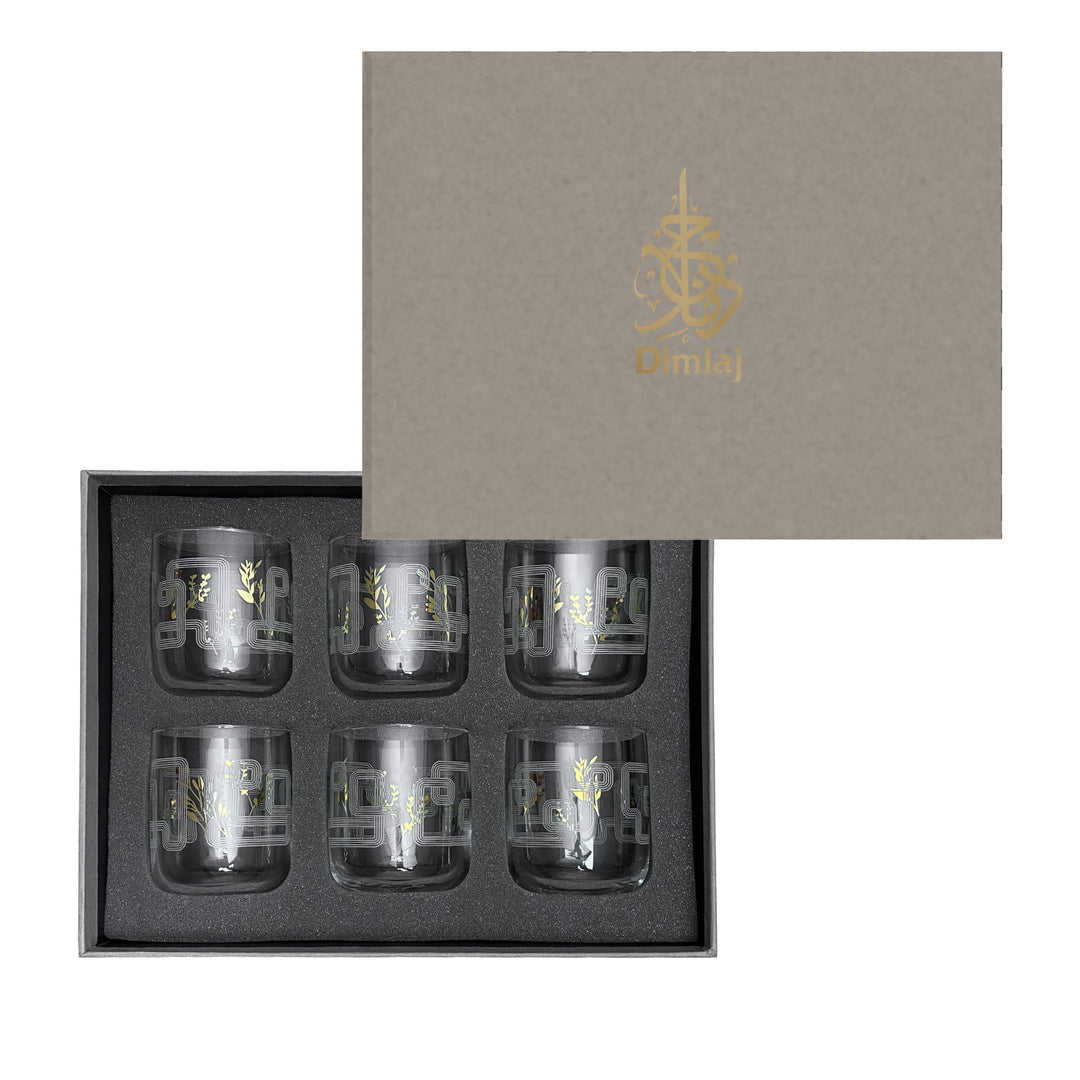 Touch Oliva Set Of 6 Pcs Short Tumblers