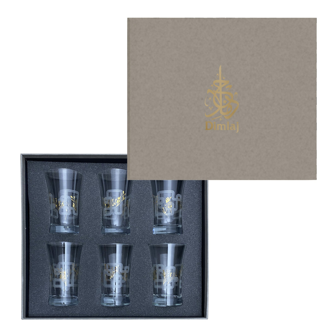 Touch Oliva Set Of 6 Pcs Tumblers