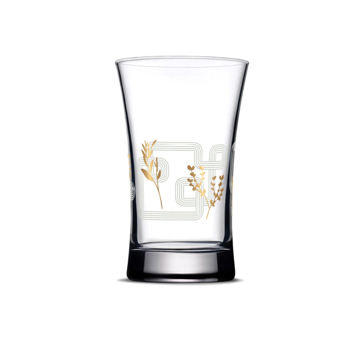 Touch Oliva Set Of 6 Pcs Tumblers