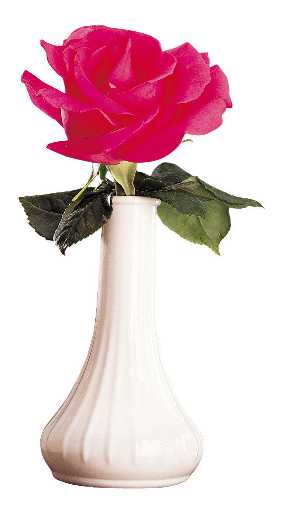 Cambro Bud Vase 6-White