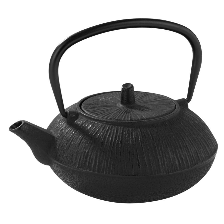 Pujadas Japanese Tea Pot