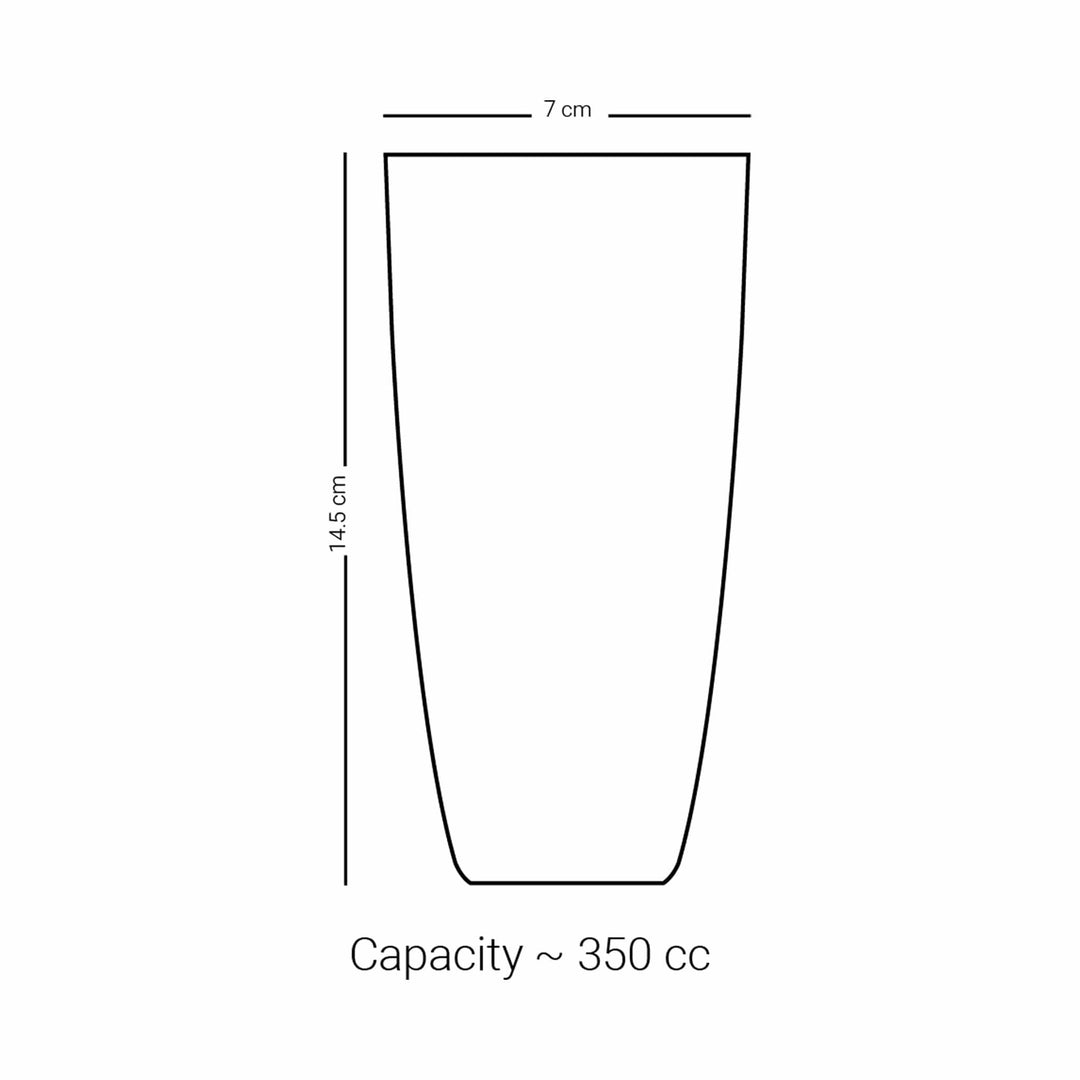 Dimlaj Asala Set of 6 Pcs Tumblers (Gold & Green)